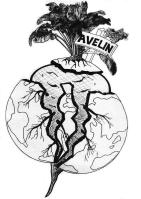 Betteraves d'Avelin