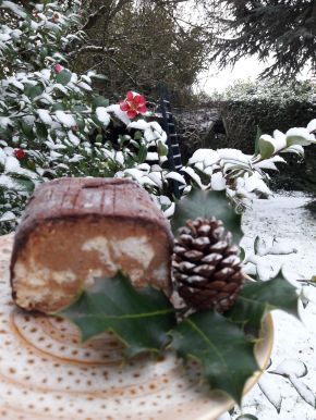 bûche glcée aux marrons dans jardin enneigé