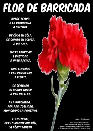 flor-de-barricada_FB
