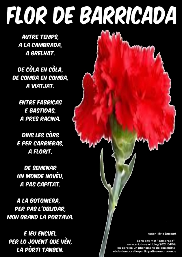 flor-de-barricada_FB
