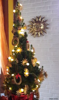 sapin-de-Noel-et-soleil_credit-photo-Eric-Dussart