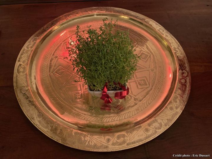 bona-e-urosa-annada_credit-photo-Eric-Dussart