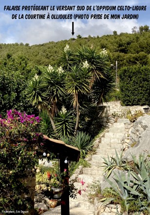 Vue sur la falaise protégeant le versant sud de l'oppidum celto-ligure de la la Courtine