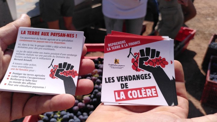 les vendanges de la colère