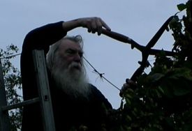 Ghislain Gouwy coupant une liane de houbon